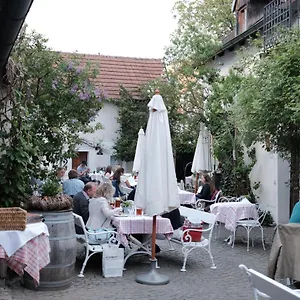 Zum Goldenen Lowen Hotel Kallmünz